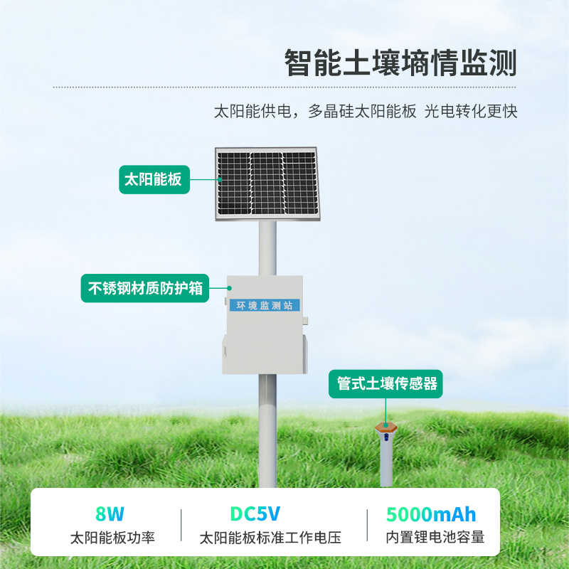 1747644046184504.jpg 7.jpg